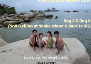 foxies d3